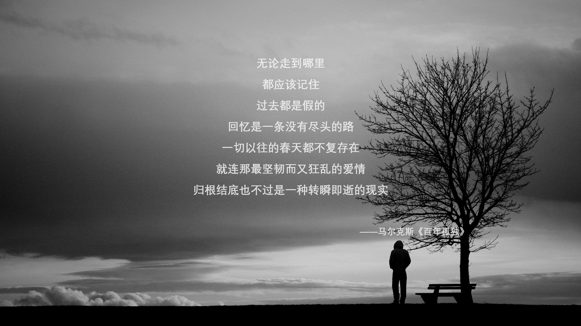 比赛中场：车手的奇迹逆转故事，职业赛车手视频