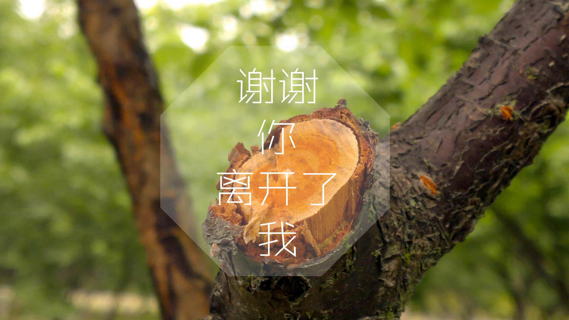九游9游-国际热身赛中国队逆袭 球员精神令人动容，足球国际热身赛