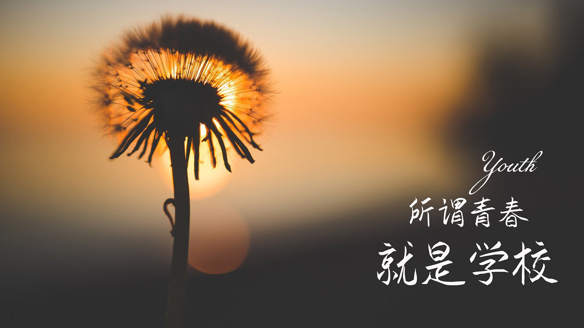 九游app下载中心-穆里尼奥创造历史欧冠淘汰赛，穆里尼奥历年欧冠战绩