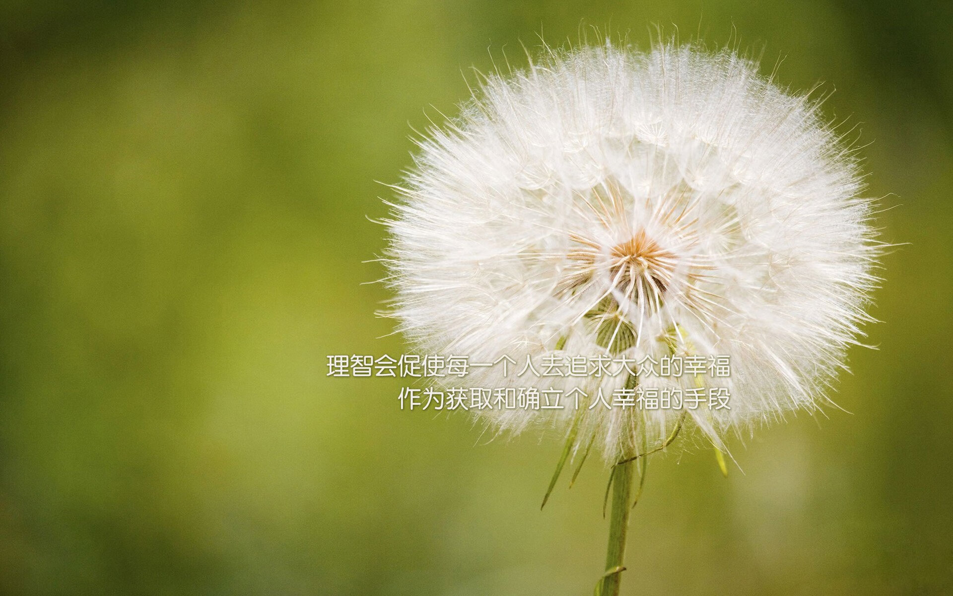 Jiu You-胡贝特·科斯决赛发挥超出预期，胡安贝坦科特