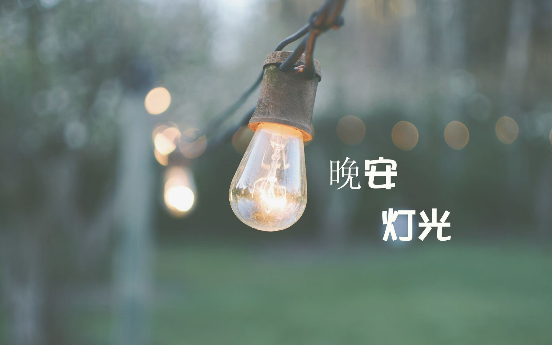 美洲杯荣耀时刻：英雄辈出成就奇迹，美洲杯冠军争夺
