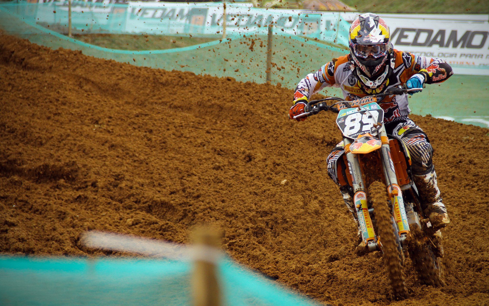 _野生动植物保护跑:运动与环保双赢_,野生动植物保护宣传海报