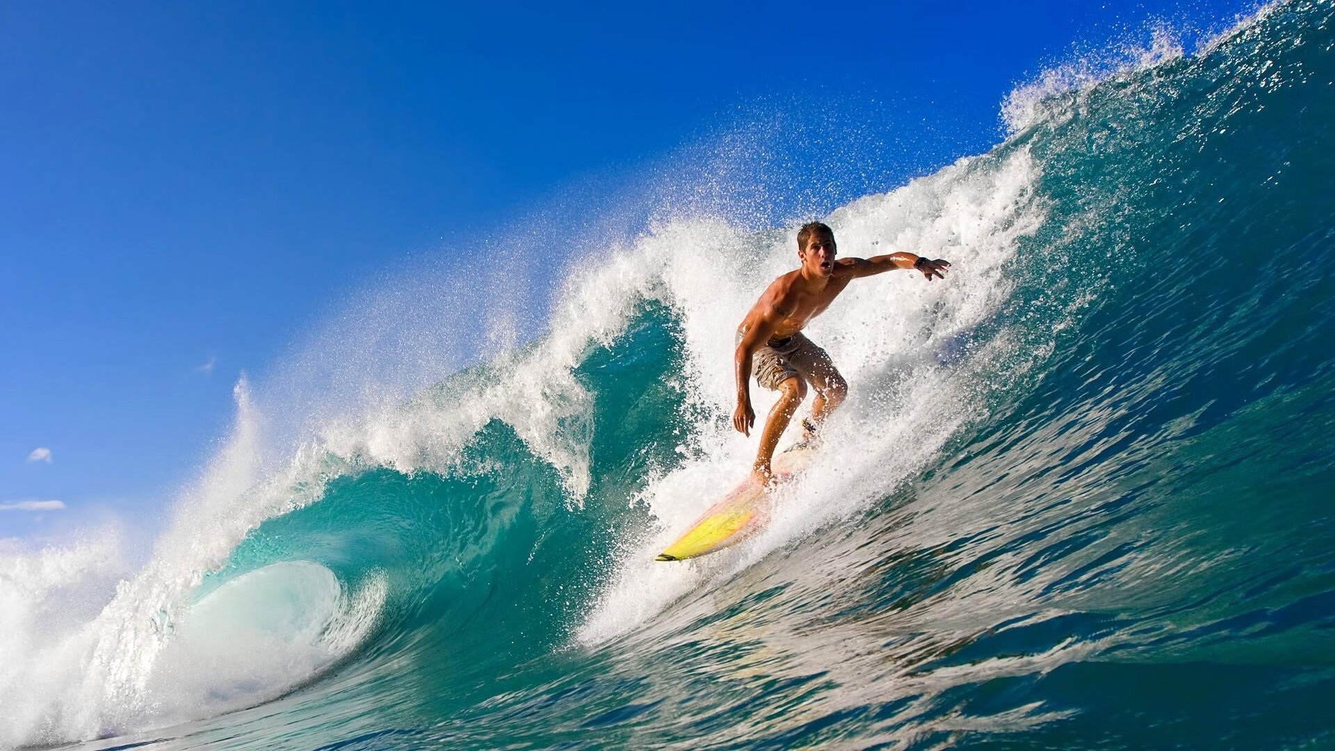 “性能巨兽：顶级豪车的速度狂潮”，性能车速度可以爆表的车