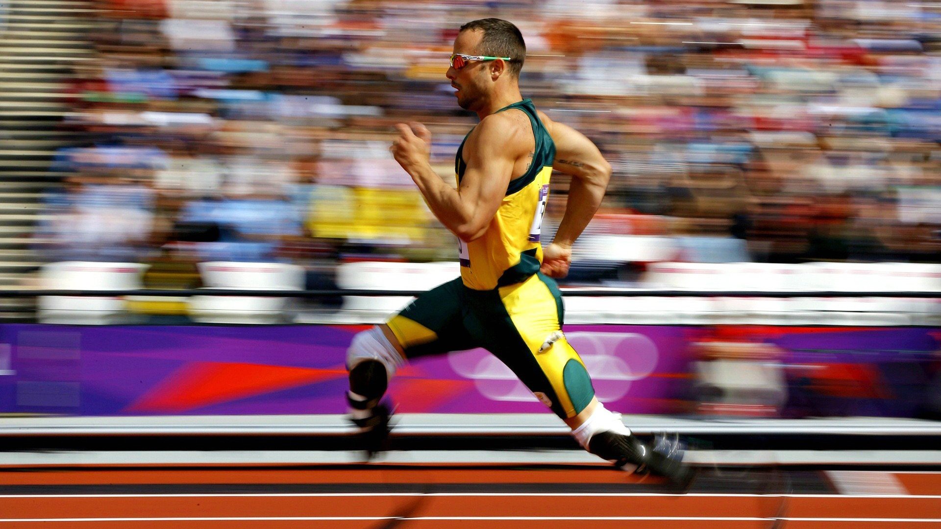 城市夜空滑翔，飞越星空的极速体验