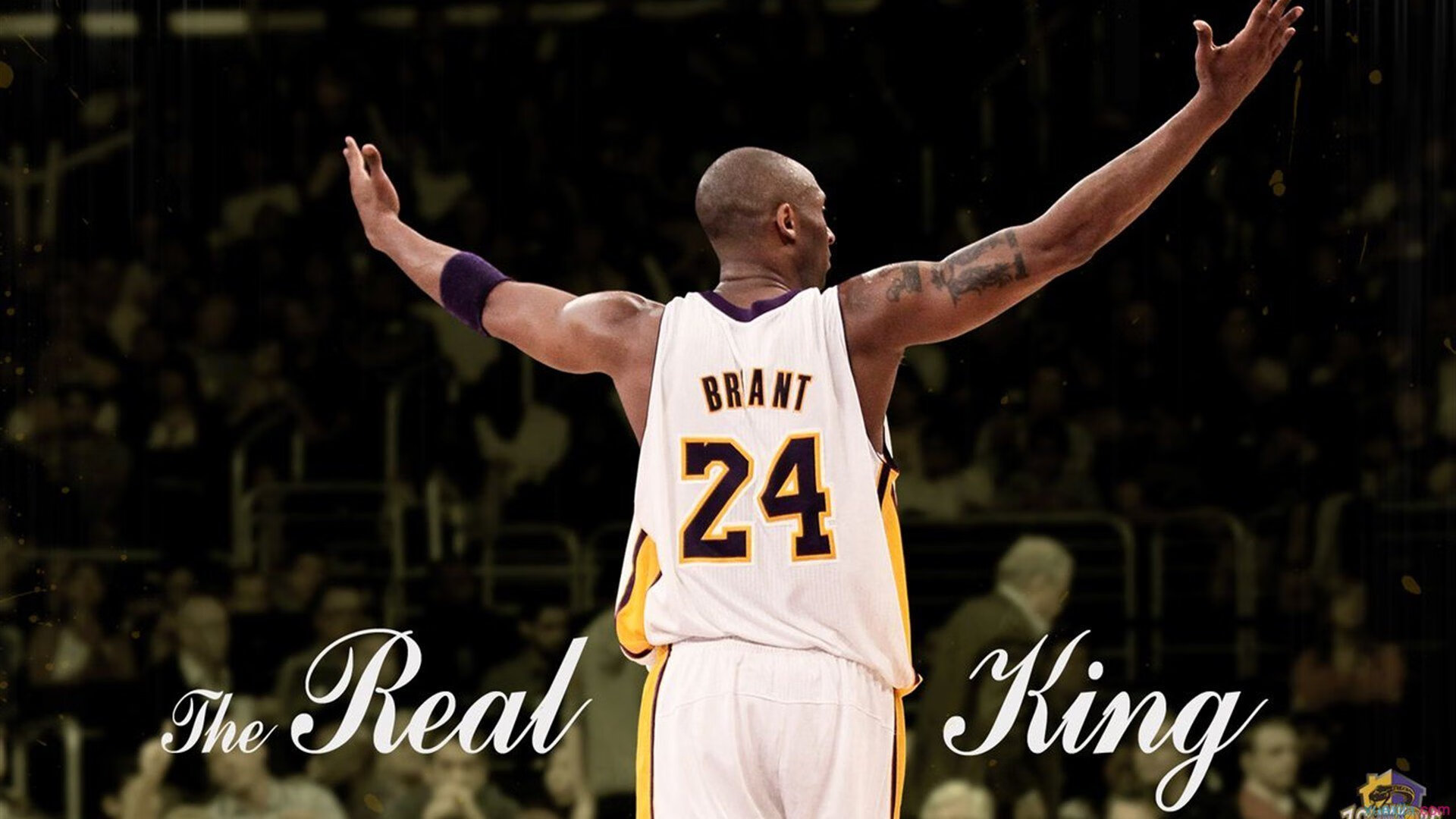 德甲精彩，球迷留言支持不断，德甲贴吧