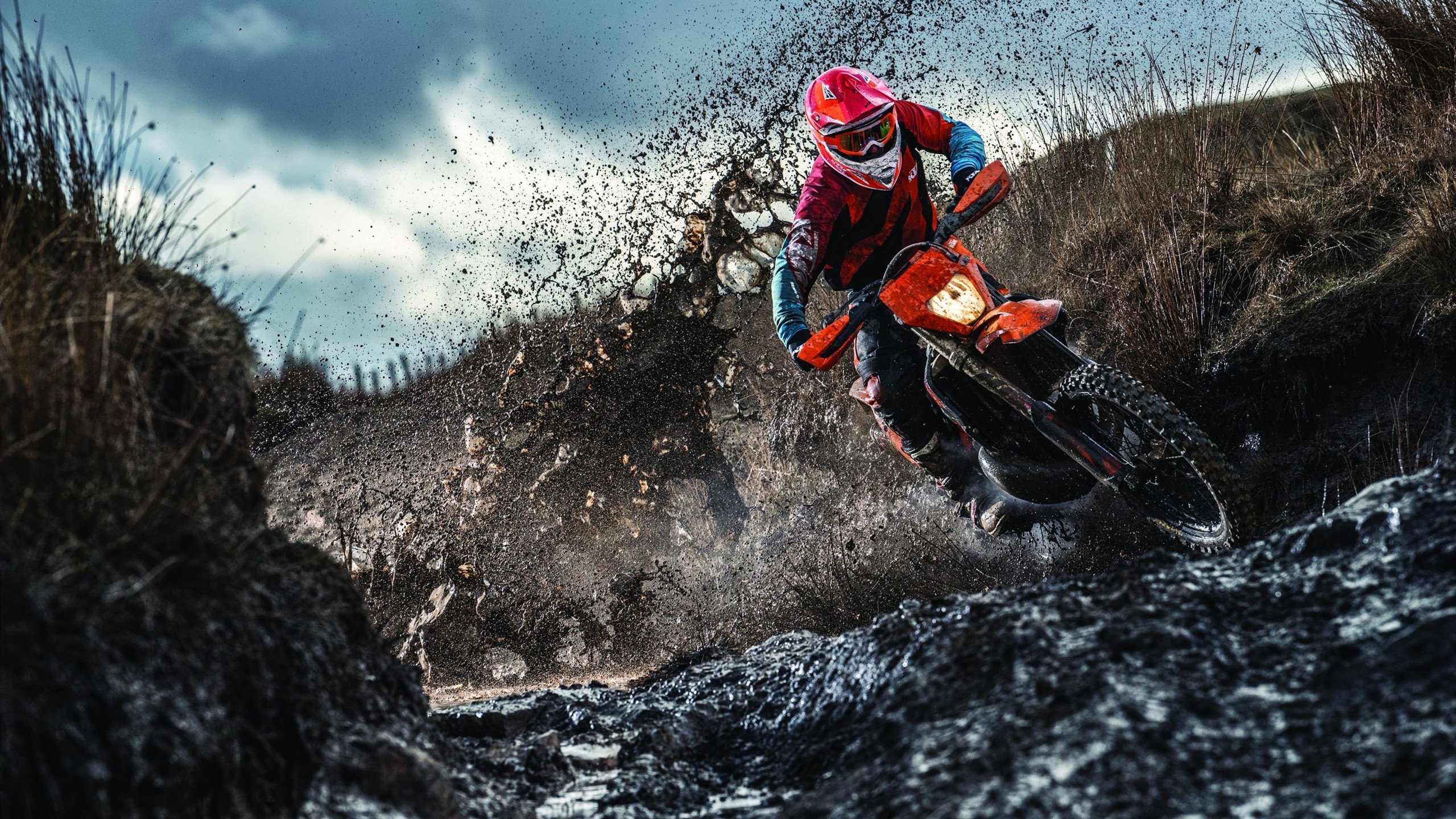 赛事现场粉丝互动不断，志愿者服务周到，志愿者协会视频